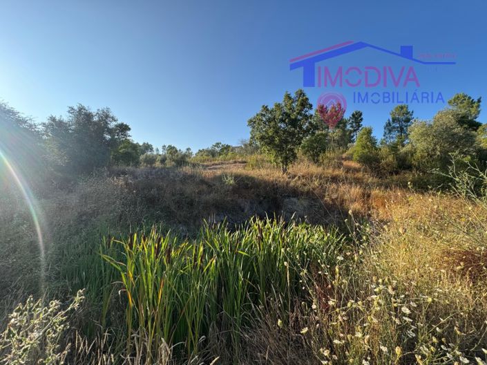 Image No.27-4 Bed House for sale