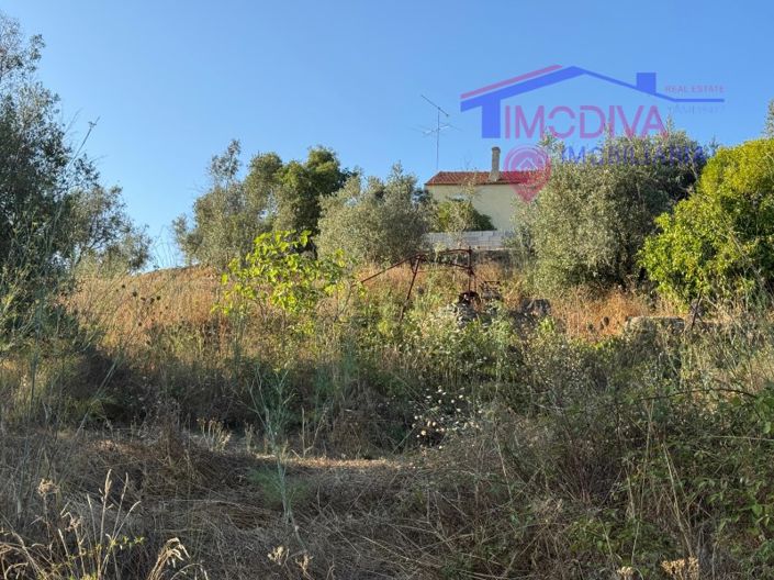 Image No.29-4 Bed House for sale