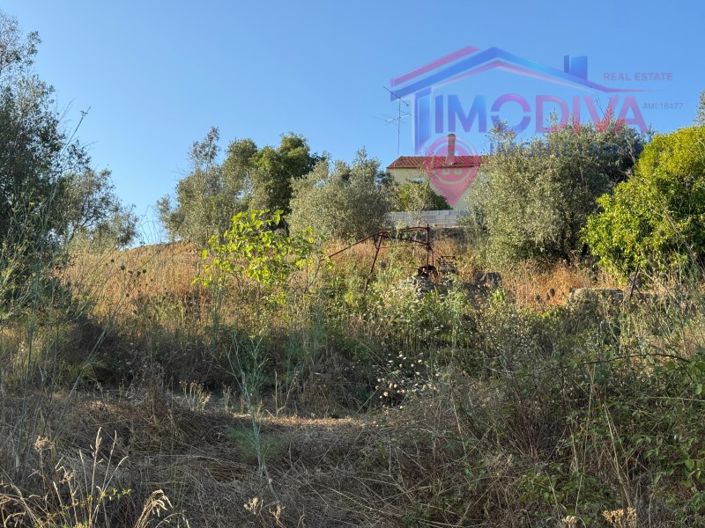 Image No.34-4 Bed House for sale