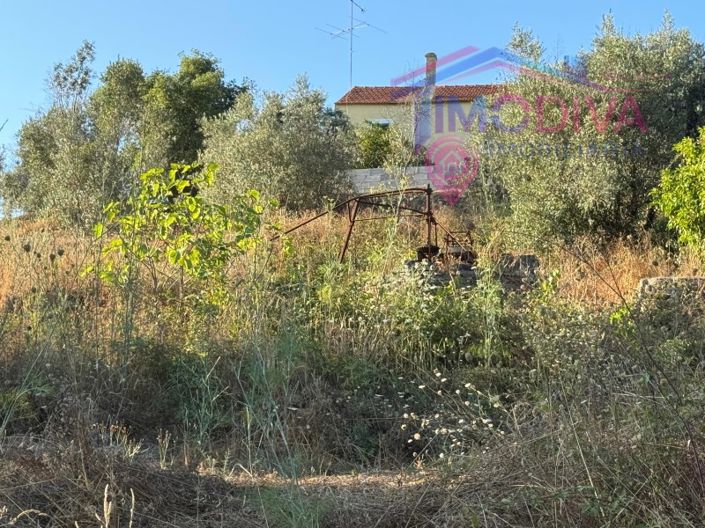 Image No.36-4 Bed House for sale