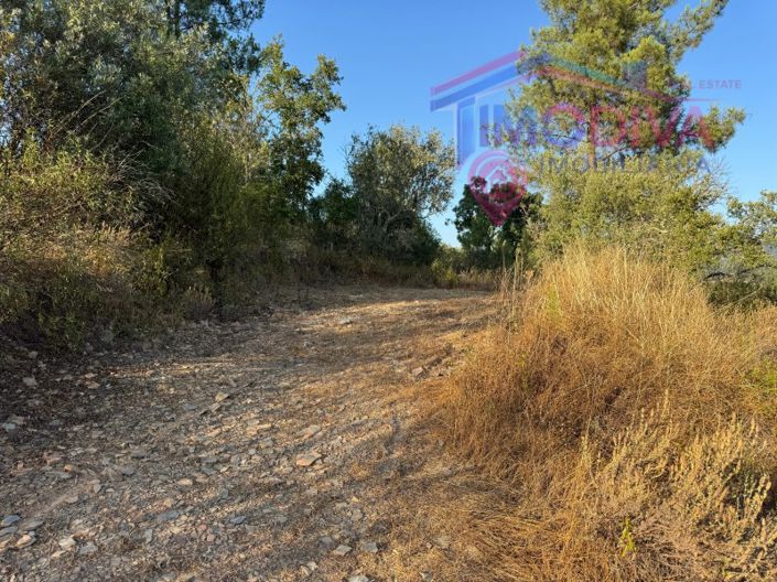 Image No.41-4 Bed House for sale