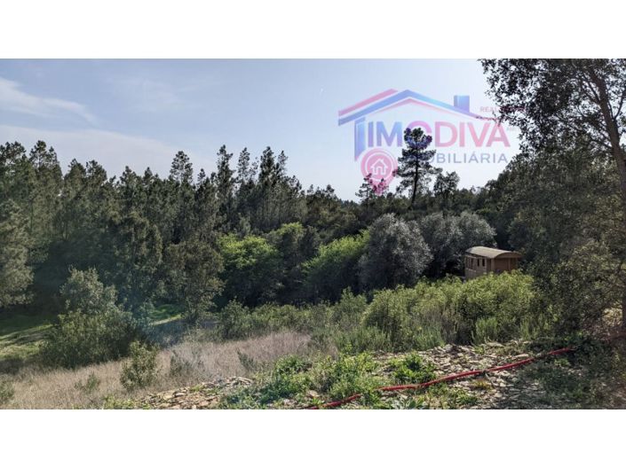 Image No.43-4 Bed House for sale