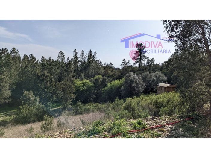 Image No.46-4 Bed House for sale