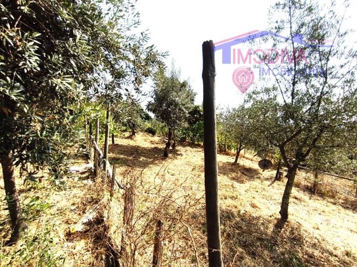 Image No.41-Maison de 1 chambre à vendre à Pedrógão Grande