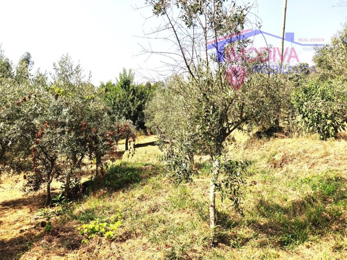 Image No.42-Maison de 1 chambre à vendre à Pedrógão Grande