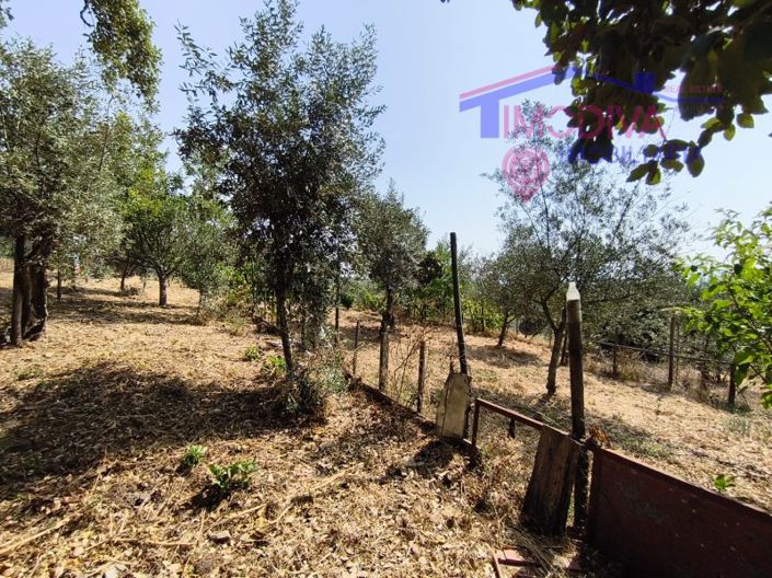 Image No.43-Maison de 1 chambre à vendre à Pedrógão Grande