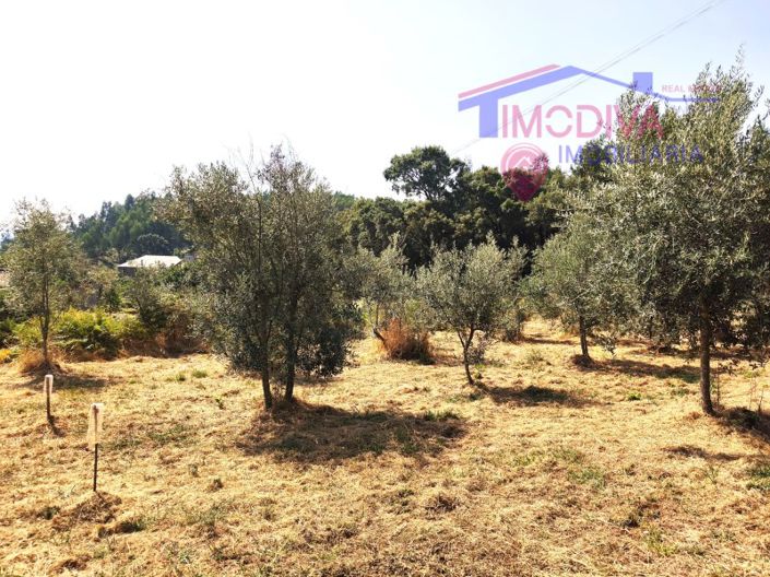 Image No.46-Maison de 1 chambre à vendre à Pedrógão Grande