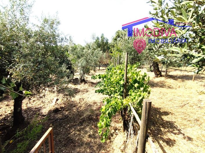 Image No.48-Maison de 1 chambre à vendre à Pedrógão Grande