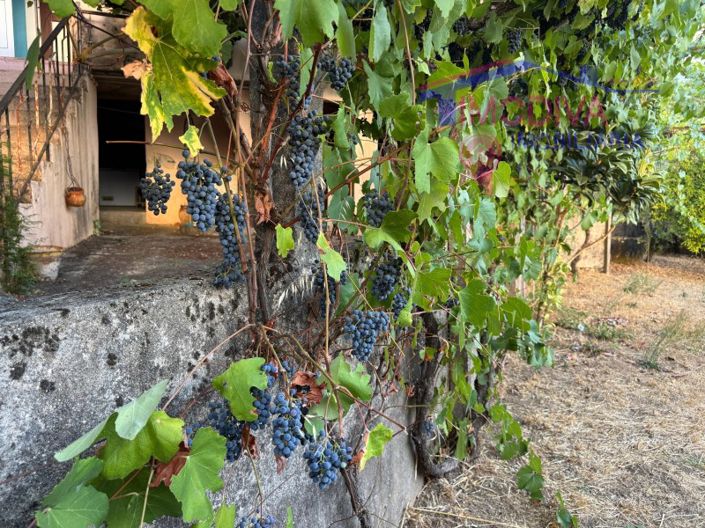 Image No.26-2 Bed House for sale