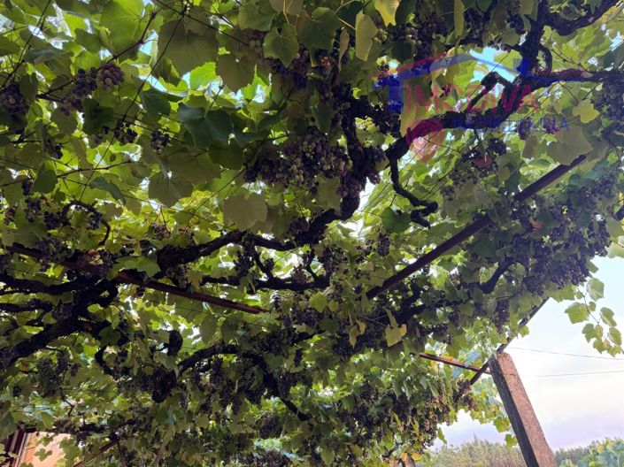 Image No.27-2 Bed House for sale