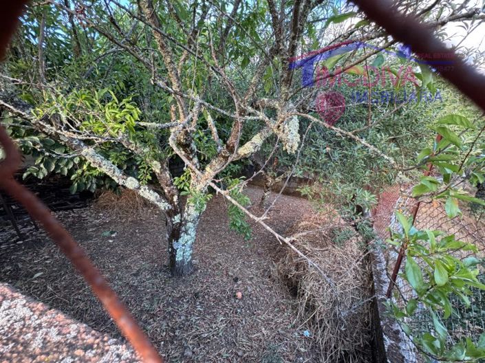 Image No.46-2 Bed House for sale