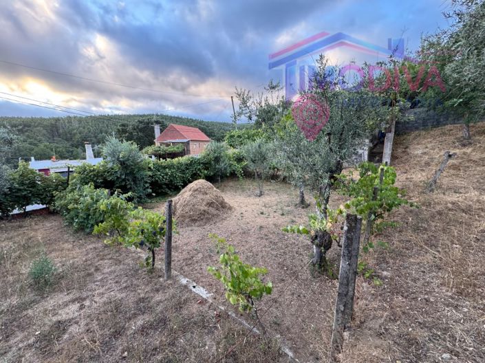 Image No.53-2 Bed House for sale