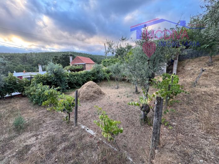 Image No.53-2 Bed House for sale