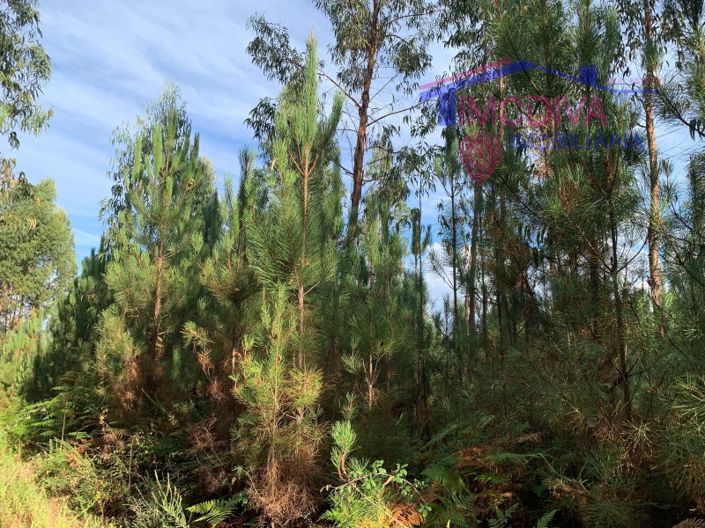 Image No.1-Plot for sale