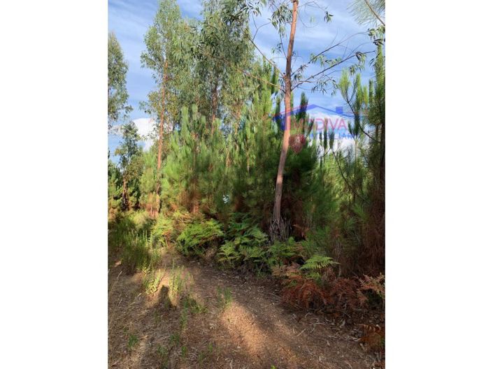 Image No.3-Plot for sale