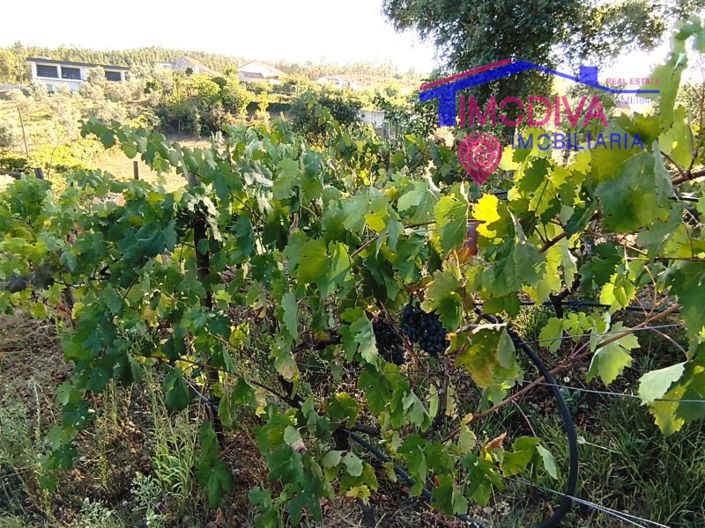 Image No.63-2 Bed House for sale