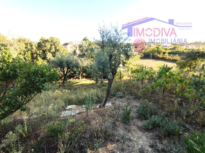 Image No.64-2 Bed House for sale