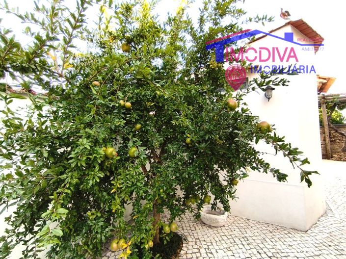 Image No.66-2 Bed House for sale