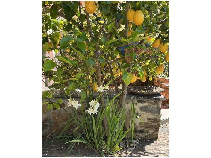 Image No.72-2 Bed House for sale