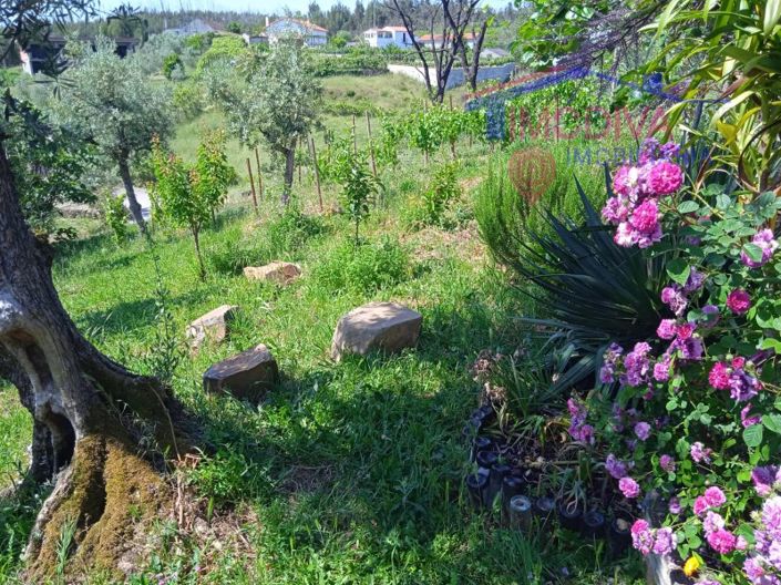 Image No.73-2 Bed House for sale