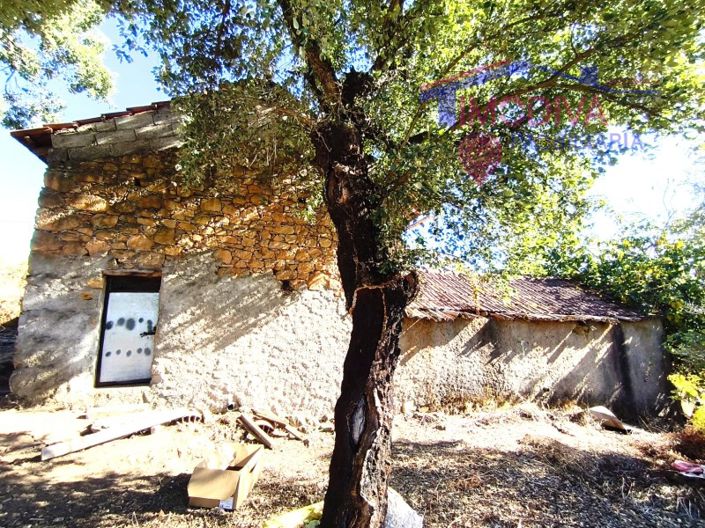 Image No.10-2 Bed House for sale