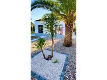 idab8cb501-0000-0500-0000-000017991bbd