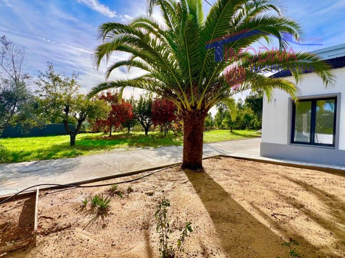 Image No.8-Maison de 4 chambres à vendre à Pedrógão Grande