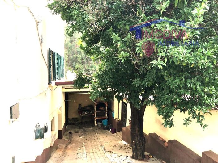 Image No.28-Maison de 4 chambres à vendre à Castanheira de Pêra