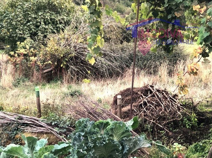 Image No.31-Maison de 4 chambres à vendre à Castanheira de Pêra