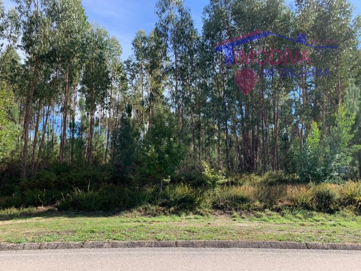 Image No.2-Plot for sale