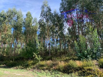 idc133b601-0000-0500-0000-000017a74017