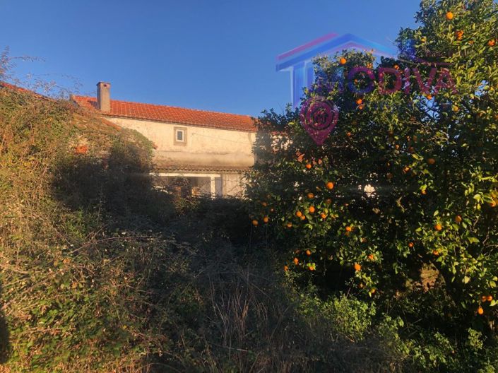 Image No.42-5 Bed House for sale