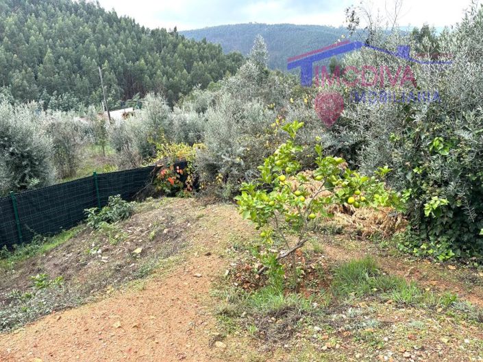 Image No.36-Maison de 2 chambres à vendre à Figueiró dos Vinhos