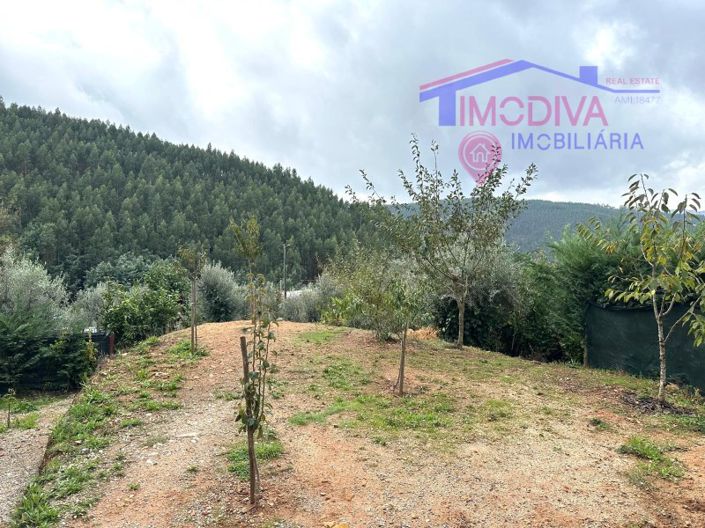 Image No.37-Maison de 2 chambres à vendre à Figueiró dos Vinhos