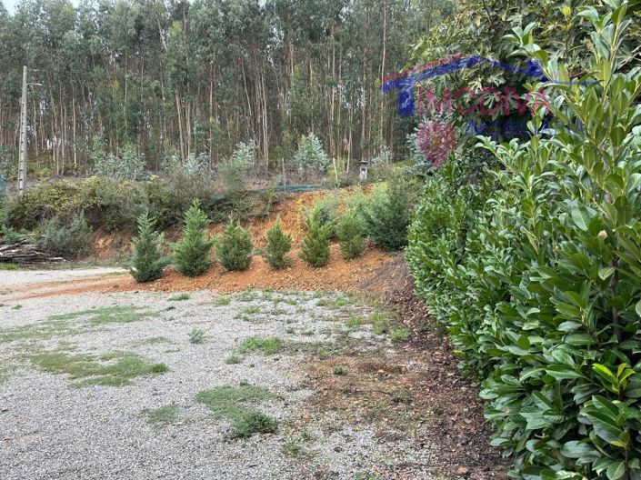 Image No.39-Maison de 2 chambres à vendre à Figueiró dos Vinhos