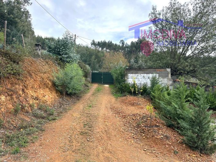 Image No.40-Maison de 2 chambres à vendre à Figueiró dos Vinhos