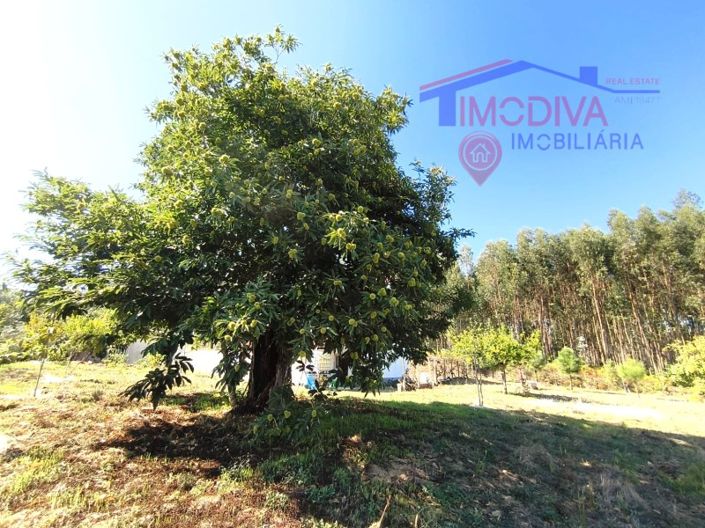 Image No.59-3 Bed House for sale