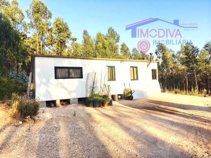 Pedrógão Grande, Plot