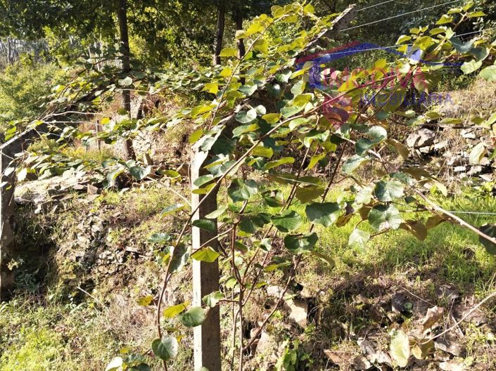 Image No.20-Plot for sale