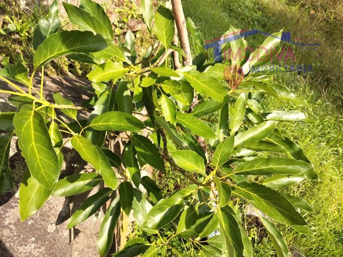 Image No.21-Plot for sale