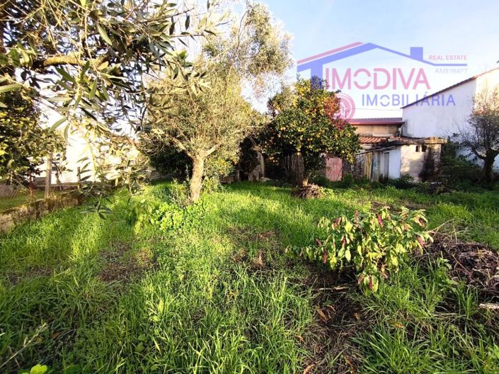 Image No.18-Ferme de 2 chambres à vendre à Pedrógão Grande