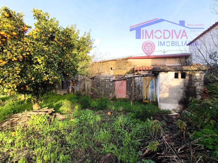 Image No.19-Ferme de 2 chambres à vendre à Pedrógão Grande