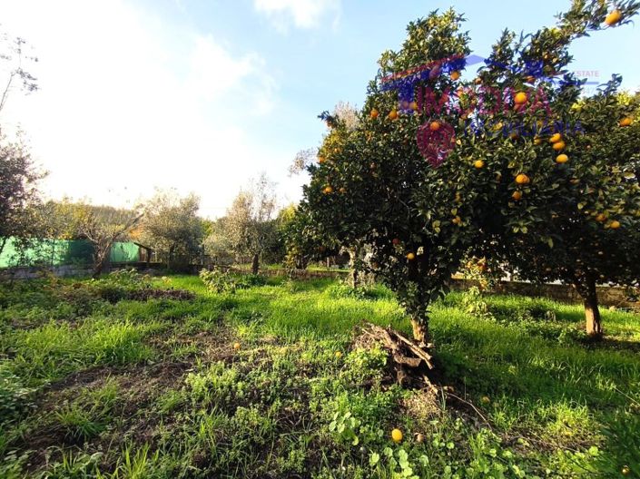 Image No.20-Ferme de 2 chambres à vendre à Pedrógão Grande