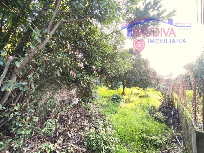 Image No.23-Ferme de 2 chambres à vendre à Pedrógão Grande