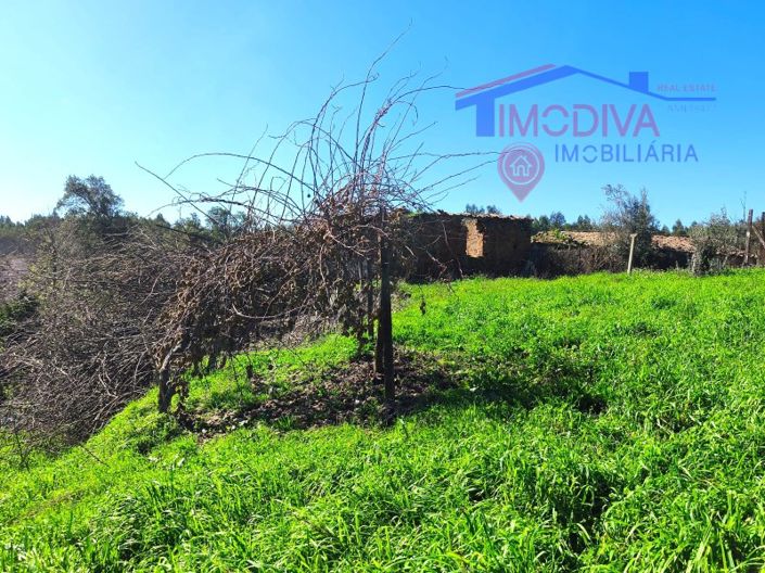 Image No.13-Farmhouse for sale