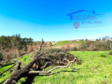 idda91c101-0000-0500-0000-00001885fbaa