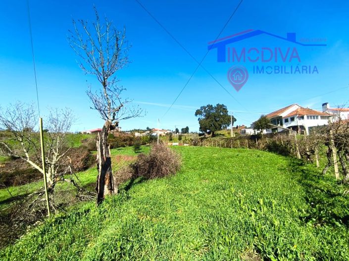 Image No.17-Farmhouse for sale