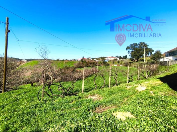 Image No.20-Farmhouse for sale