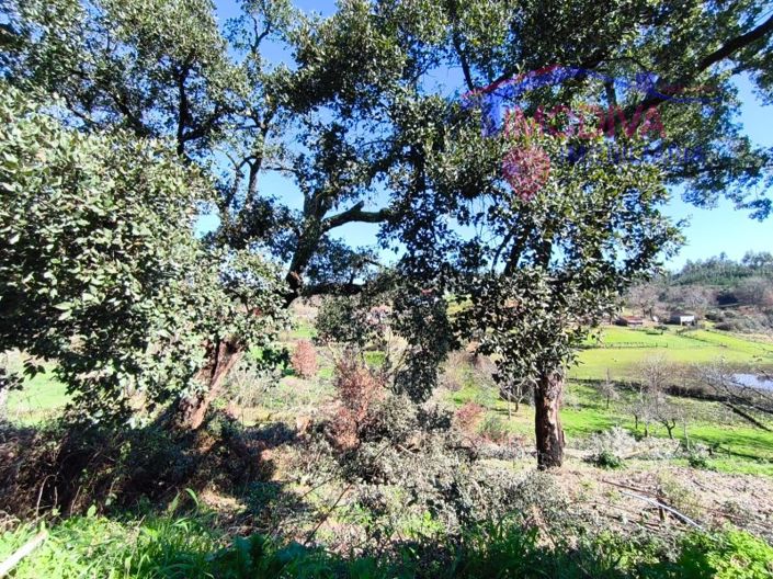 Image No.25-Farmhouse for sale