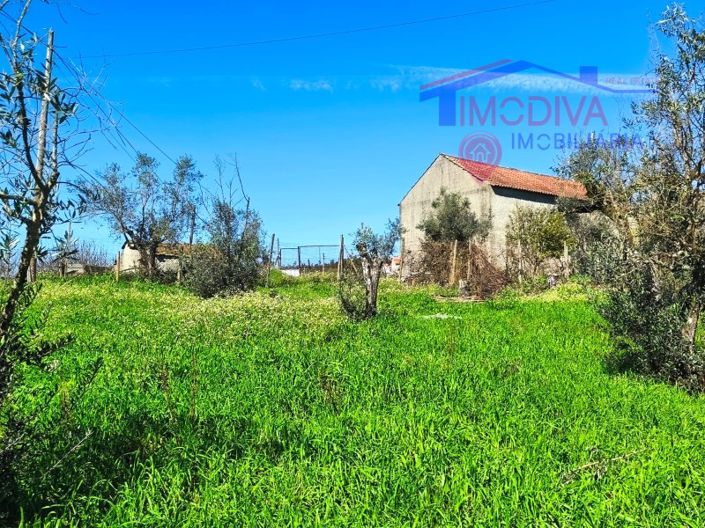 Image No.4-Farmhouse for sale